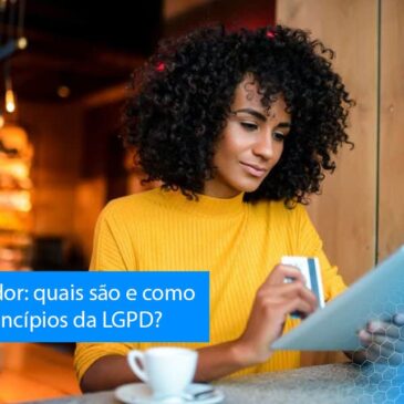 quais são e como cumprir os 10 princípios da LGPD?