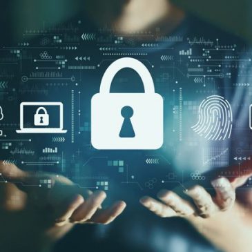 gestão de vulnerabilidade como funciona